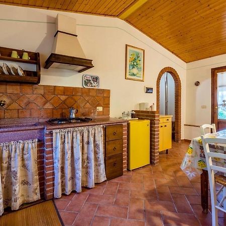 Agriturismo Il Feudo Hostal Grosseto Exterior foto