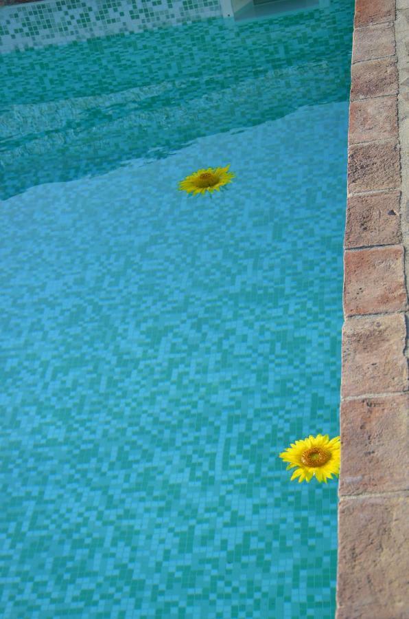 Agriturismo Il Feudo Hostal Grosseto Exterior foto