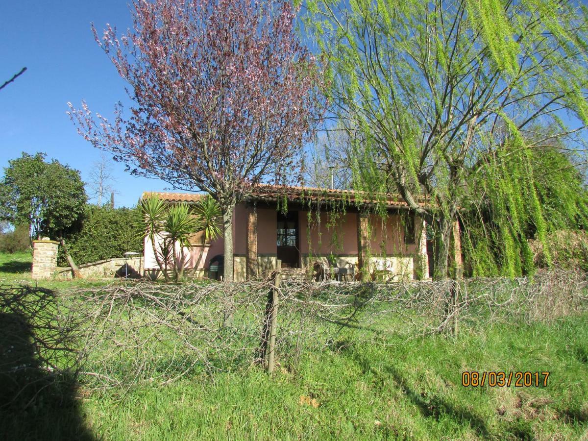 Agriturismo Il Feudo Hostal Grosseto Exterior foto